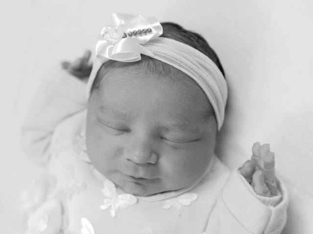 Nascimentos de Antonella chegou!