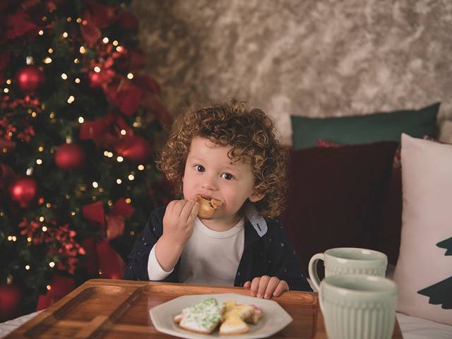 Bebês de Ensaio de Natal do Gui