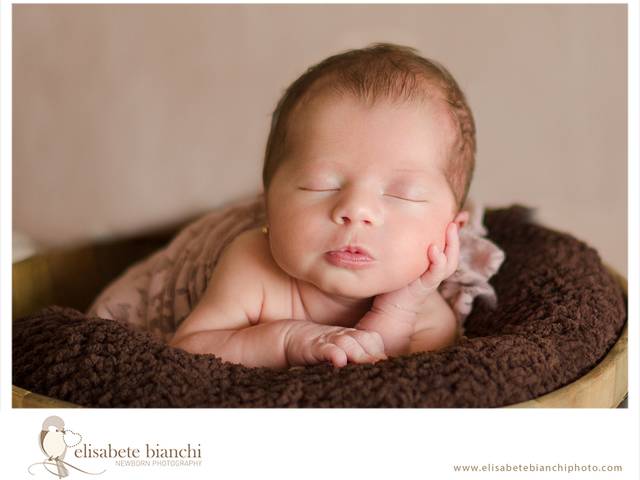 Newborn de Sessão newborn com gatos