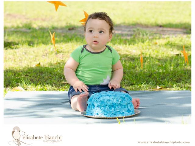 Bebê de Smash the Cake Pequeno Príncipe