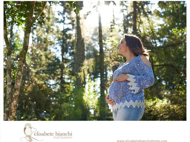 Gestante de Gestação da Laura