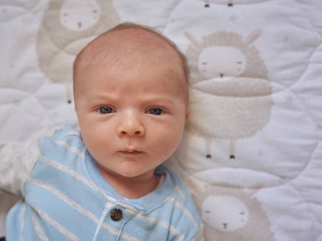 Newborn Lifestyle de Davi, 32 dias