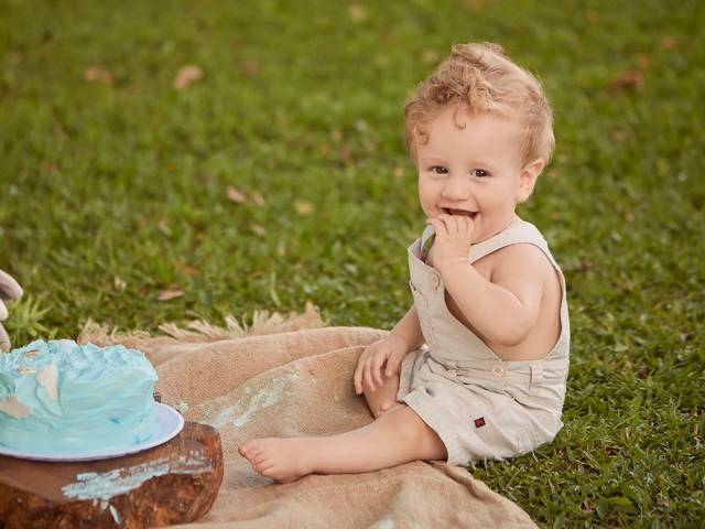 Smash the Cake de Smash the Cake do Noah