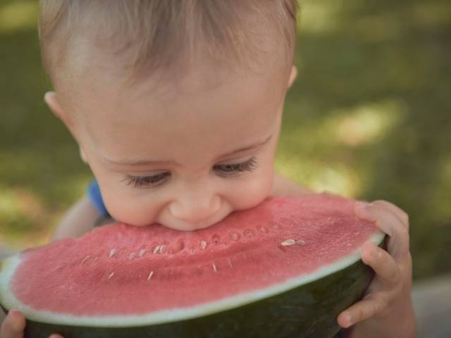 Smash the Cake de Smash the Cake do Gael