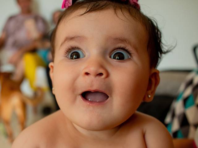 Familia de UM DIA NA VIDA DA BEATRIZ