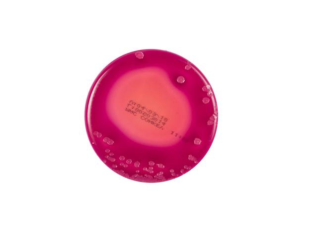 Produtos de Laborclin