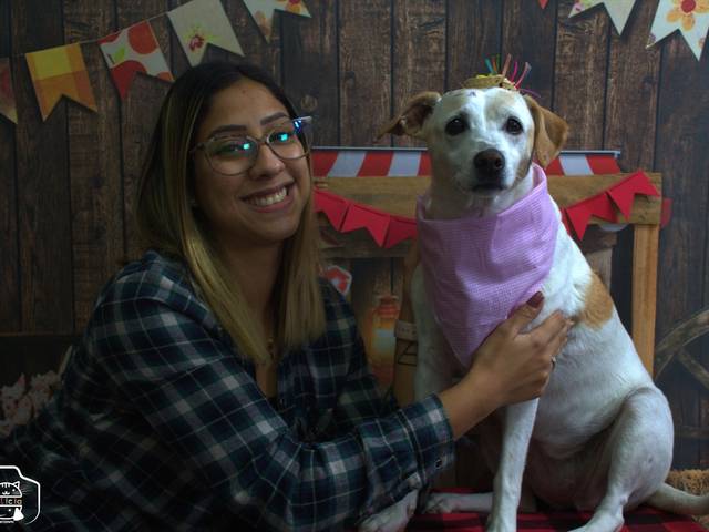 Pets de Arraia Milla