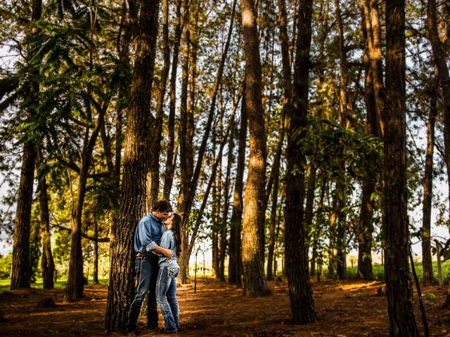 Casamentos de Wedding Carla e Augusto