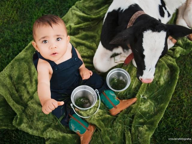 INFANTIL de HENRICO - O FAZENDEIRO
