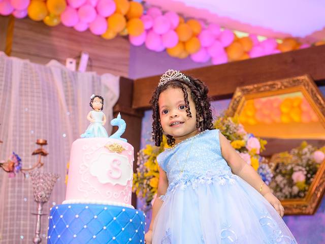 Aniversário de 2 Aninhos Sophia