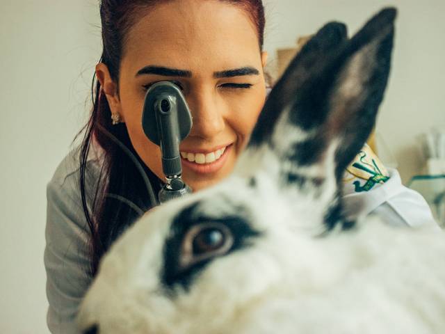 Retrato Corporativo de Foto para Perfil Profissional - Natane