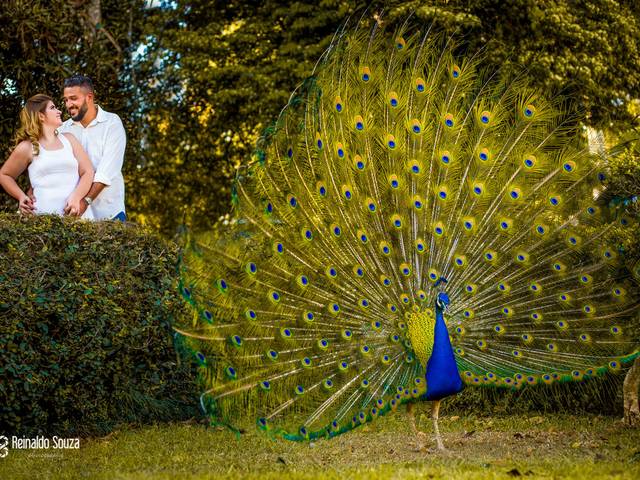 Pré-Wedding de Ensaio Pré-Wedding de Aline e João Paulo