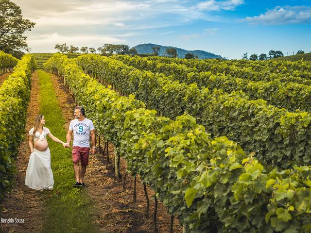 Gestante de Ensaio Gestante Jaque e Rodrigo