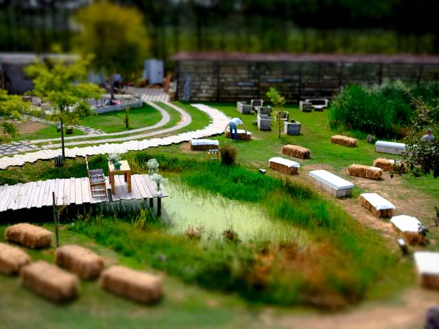 WEDDING de Paula & Fábio