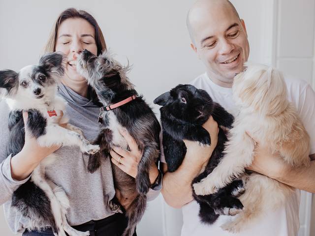 Famílias de Família Nogueira Falcone