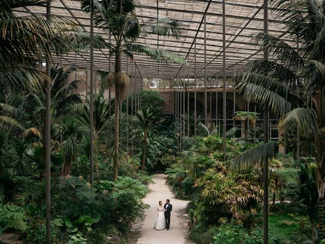 Casamento de Casamento em Lisboa - Estufa fria