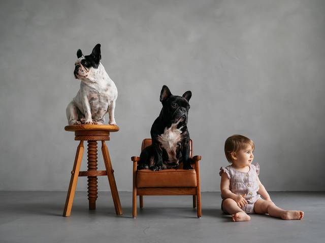 Família de sessão de familia no estudio