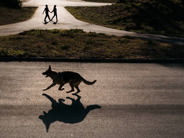 Namorados de Sessão fotografica nos Aviões 