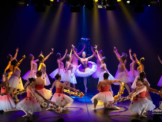 Dança de Festival Studio de Dança Isadora Fonteles 2024