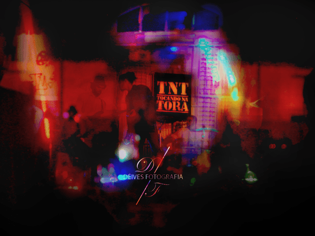 FESTIVAL de FESTIVAL TNT