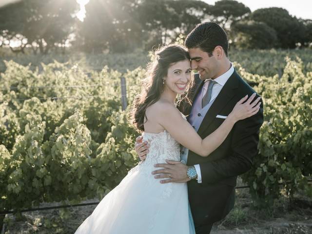 Casamento de Paulo + Sofia