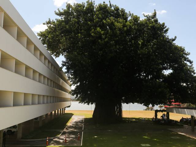 Casamentos de Priscilla e Felipe