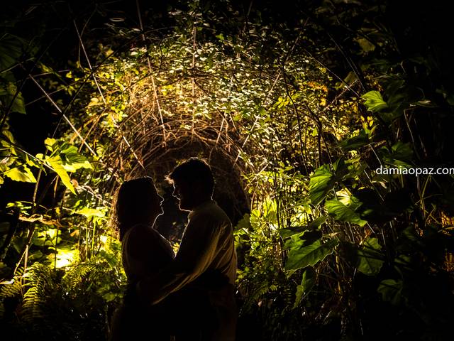 Casamentos de Uma renovação cheia de emoção