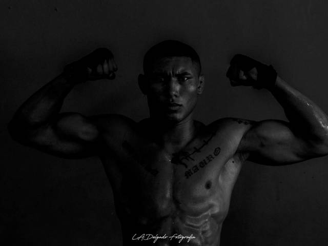 Ensaios de Mario Souza