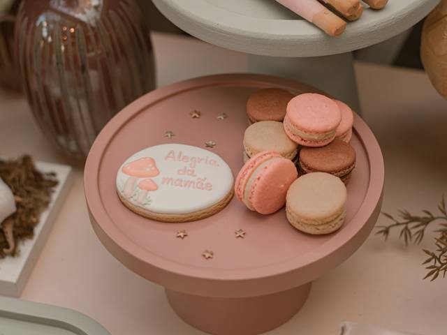 Festa infantil de festa infantil Sofia