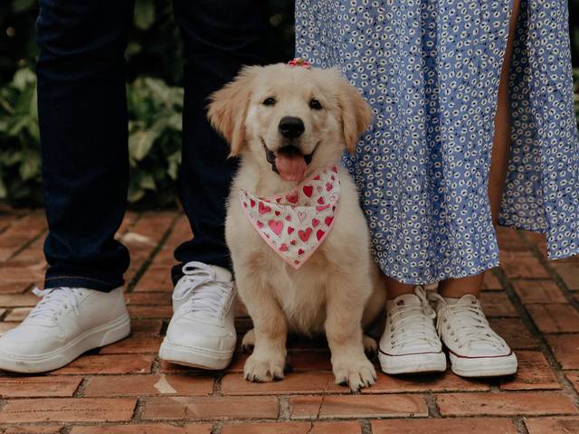 Pré Wedding de Thais + Gustavo