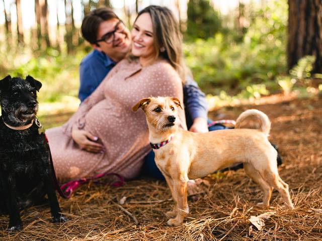 Gestantes Externo de À Espera do Augusto e Leonardo