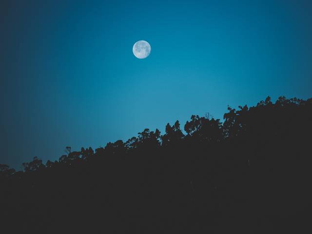 Eventos de Advanz-ing Together for Growth