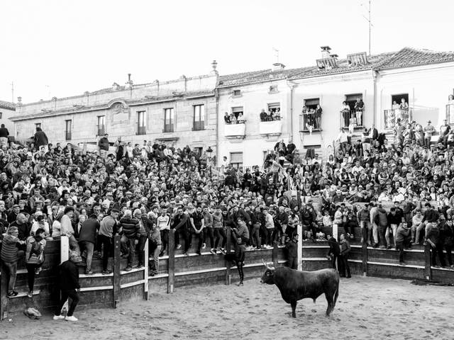Projectos de Carnaval del Toro