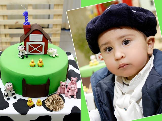 1 Aninho de Primeiro Aninho Roberto