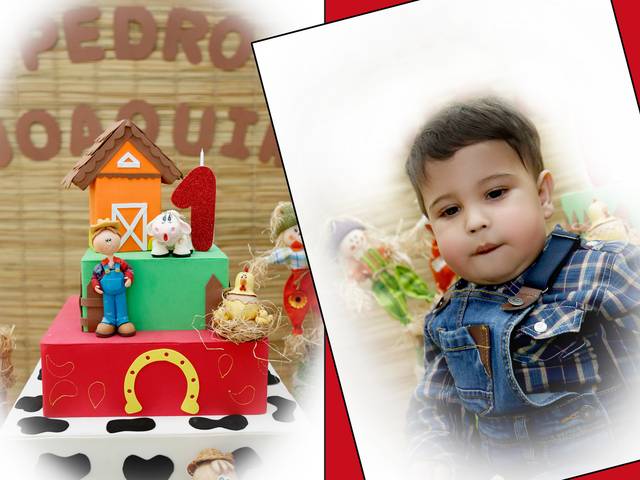 1 Aninho de Primeiro Aninho Pedro Joaquim