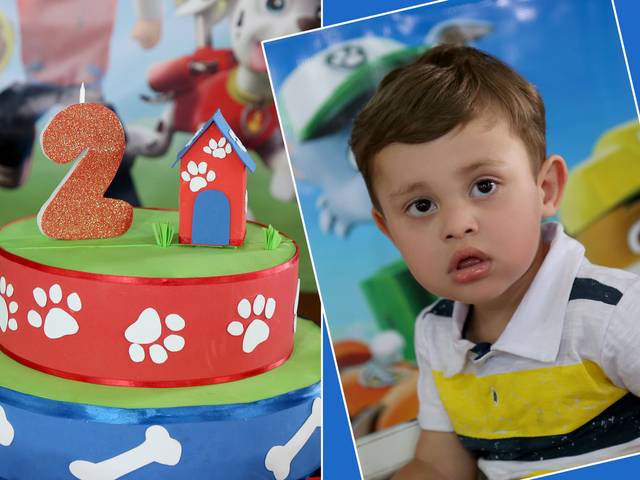 Aniversários de Aniversário 2 aninhos Vicente