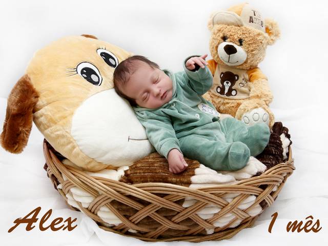 Acompanhamentos de Alex