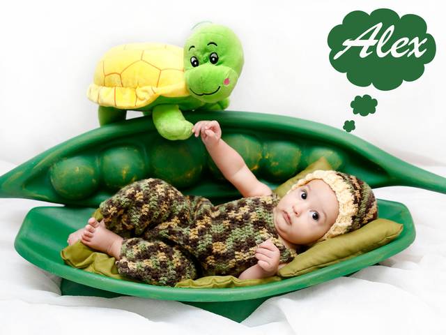 Acompanhamentos de Alex