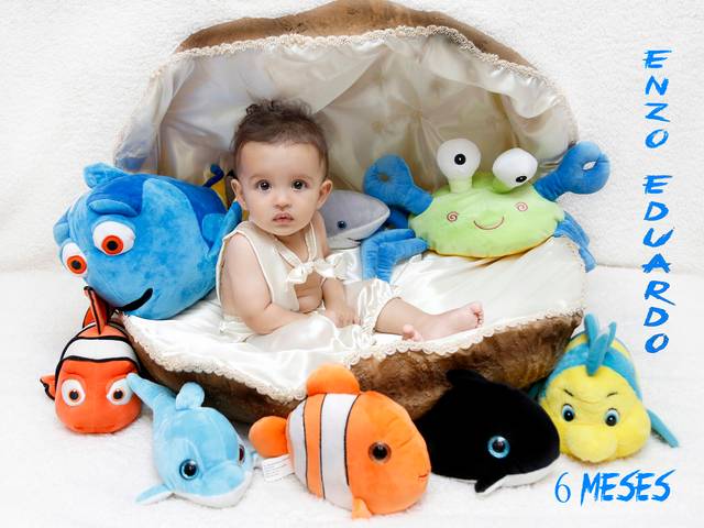 Acompanhamentos de Enzo Eduardo