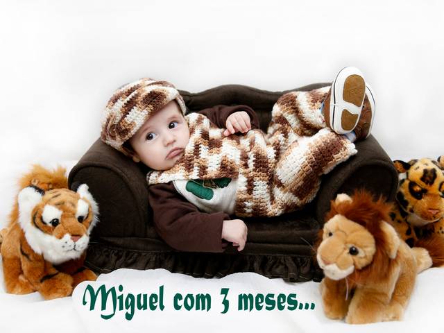 Acompanhamentos de Miguel