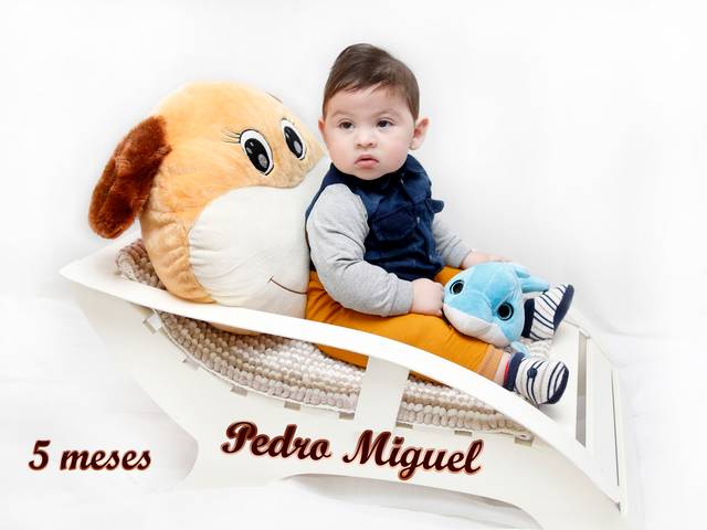 Acompanhamentos de Pedro Miguel