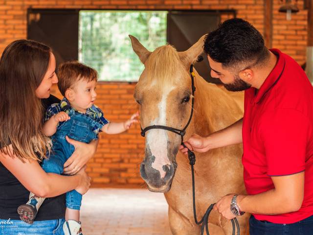 Infantil / Família de Bernardo & Família 