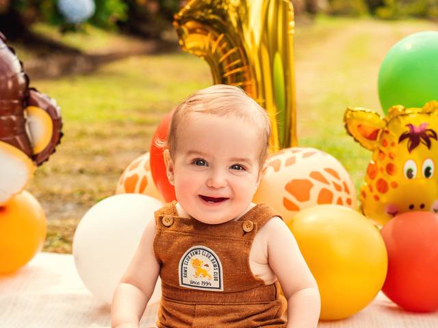 Infantil / Família de 01 Aninho do Joaquim 