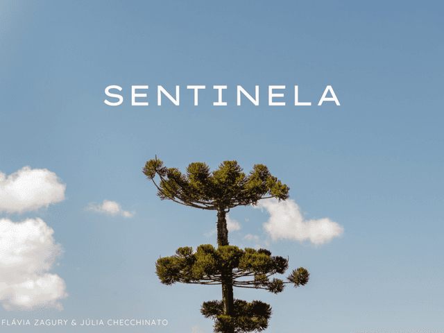 Natureza de Sentinela
