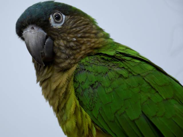 MISCELANEA de PORTAFOLIO 20 ABRIL 2022