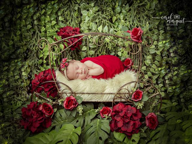 Newborn de Helena - 14 dias