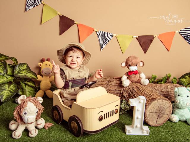 Infantil de Bento no Safari - 11 meses