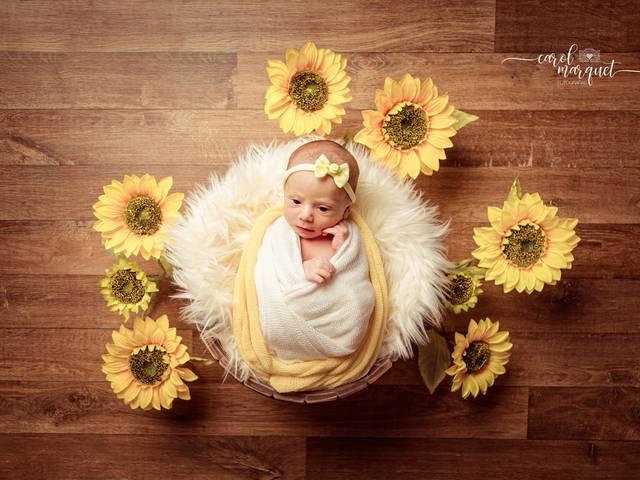 Newborn de Liz - 10 dias