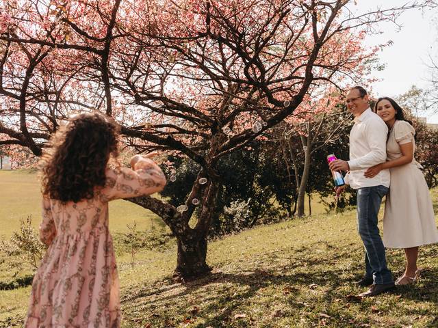 Cenário Cerejeiras de Ensaio nas cerejeiras