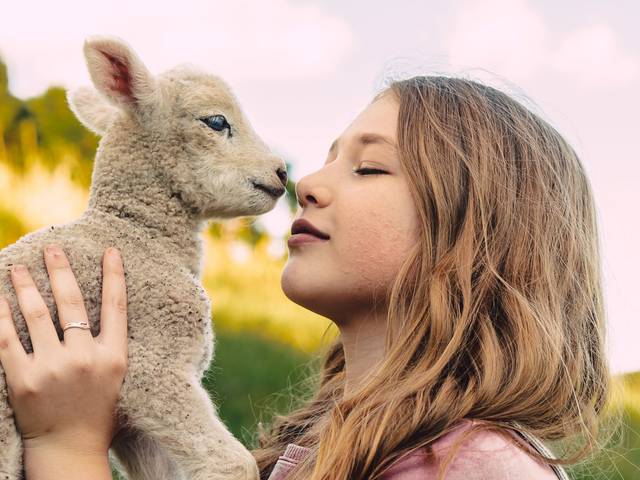 Pet de Ensaio com Pet